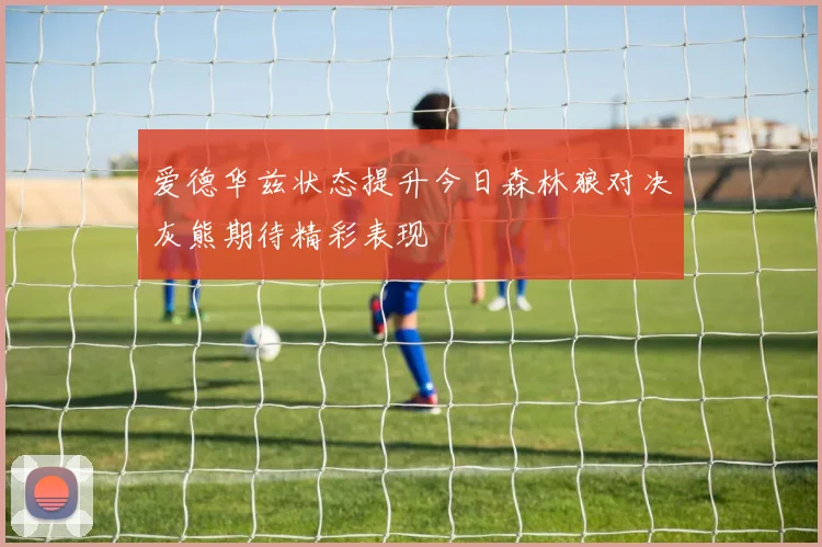 爱德华兹状态提升今日森林狼对决灰熊期待精彩表现